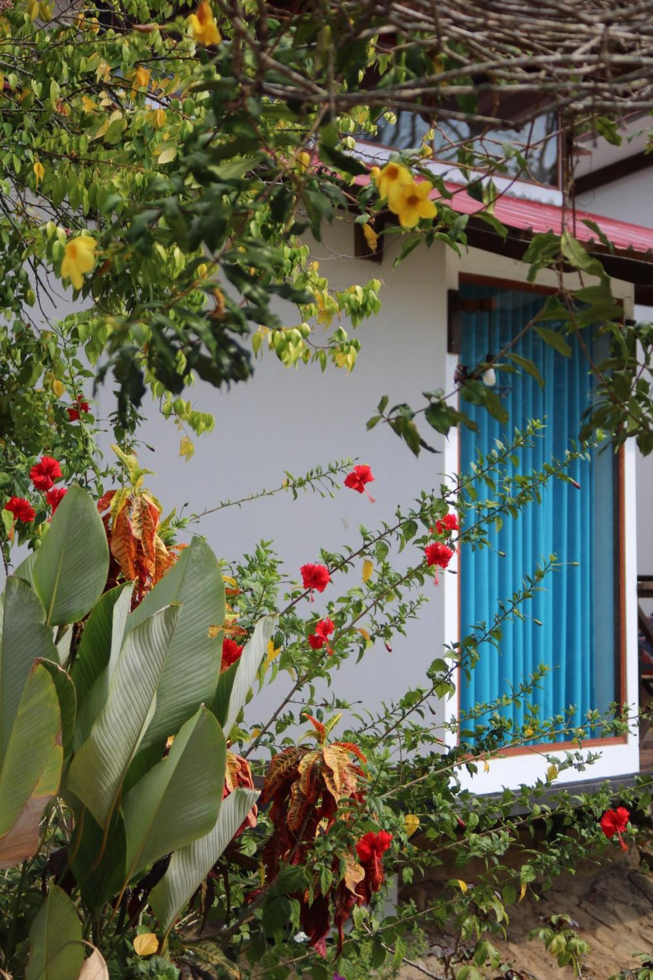 Hacienda Don Vicente Bungalows-تارابوتو المظهر الخارجي الصورة